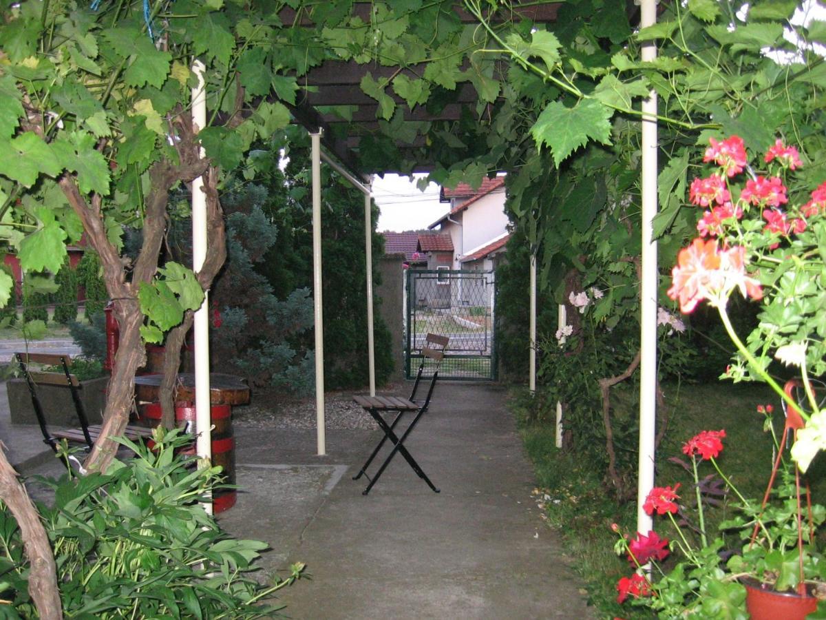 Appartamento Kuca Za Odmor Jelena Kladovo Esterno foto